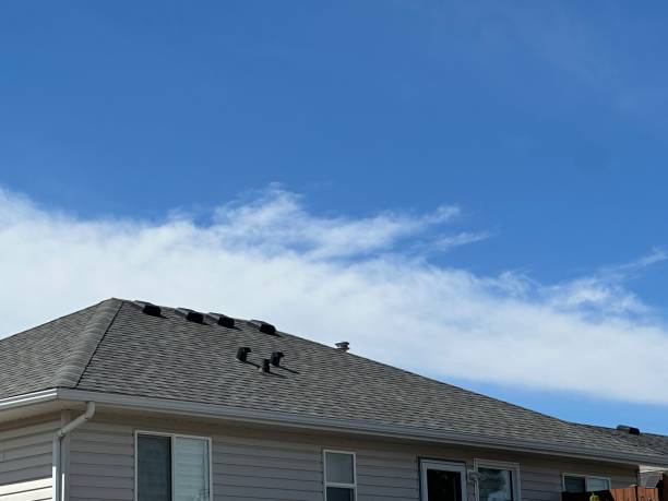 Best Storm Damage Roof Repair  in San Benito, TX